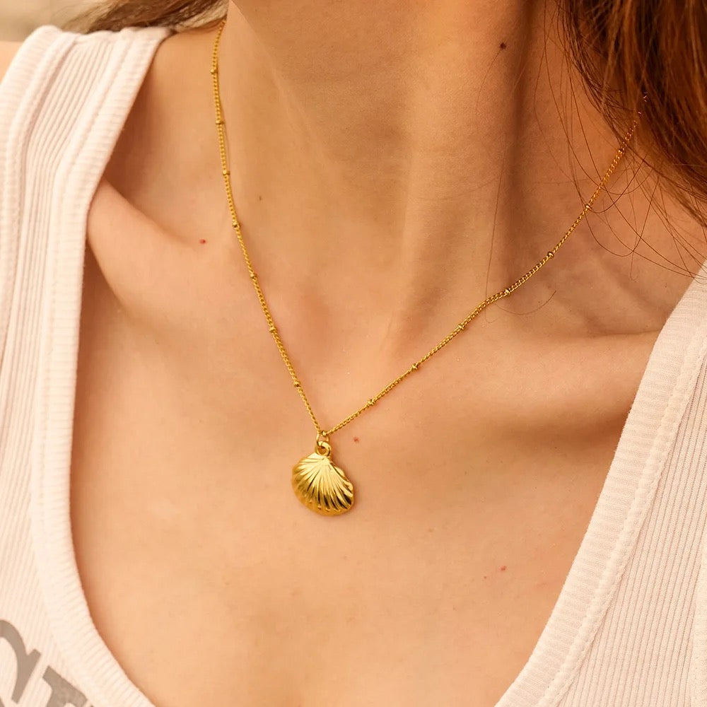 Simple Shell Necklace