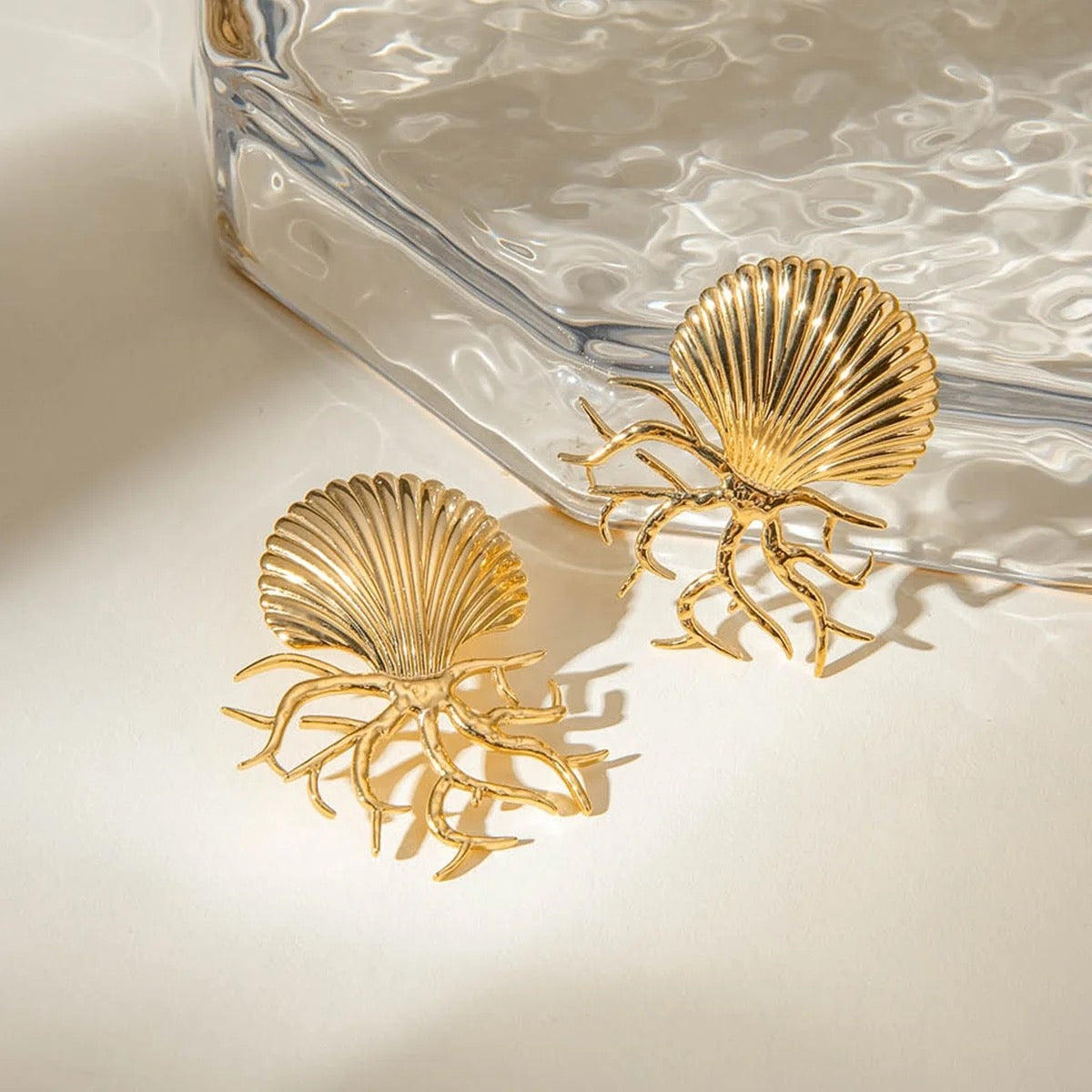 Shell Coral Studs